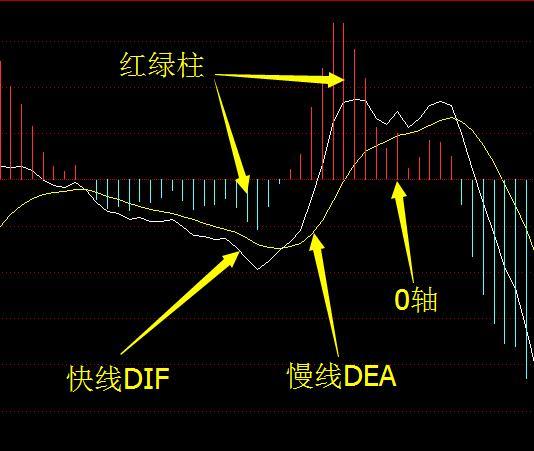 �麣���������